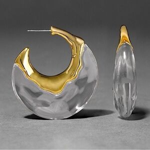 Alexis Bittar Liquid Lucite Puffy Hoop Earrings